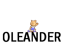 Oleander1