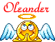 oleander01